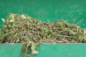 Green Waste